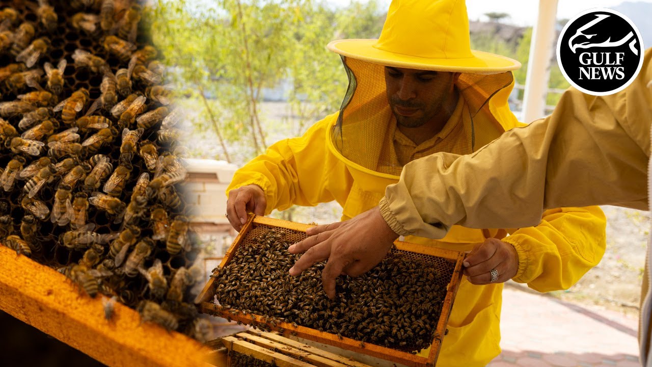 Meet the beekeeping community of Dubai
