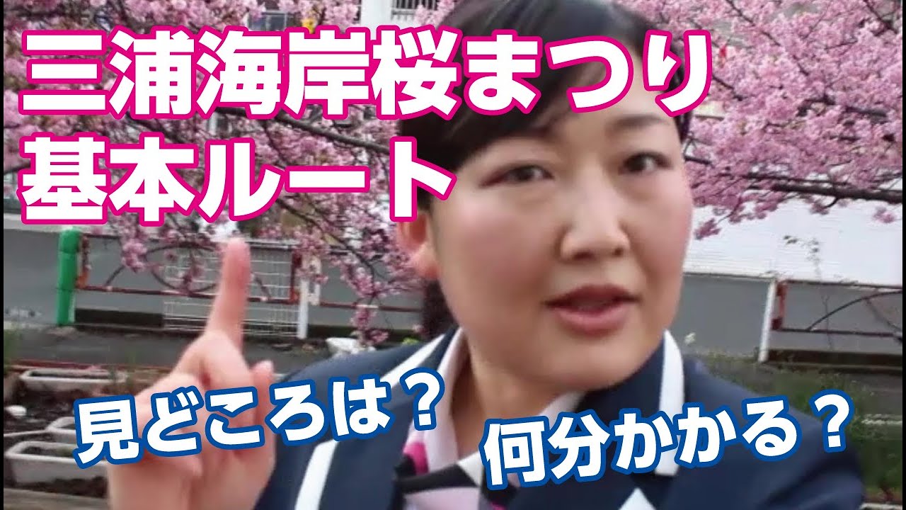 三浦海岸桜まつり基本ルート解説！【河津桜】