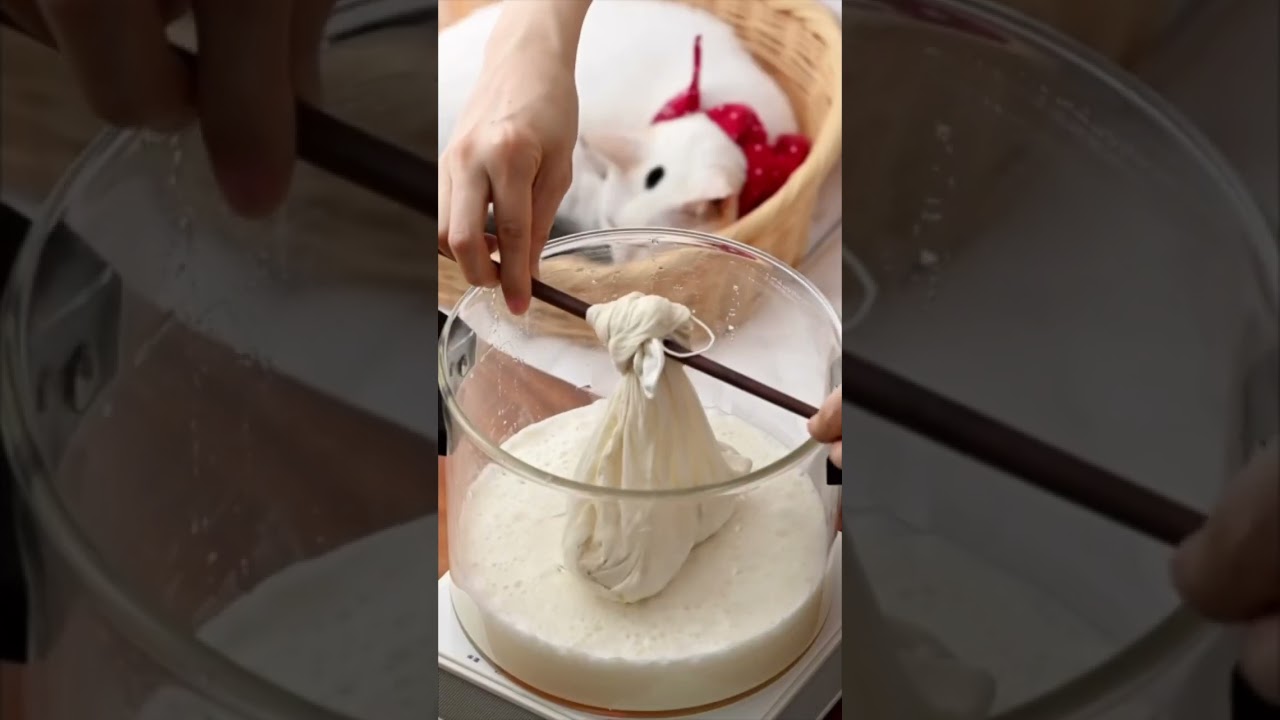 Homemade Beancurd Jelly✨Tofu pudding @beanpandacook #shorts #tofu #beancurd