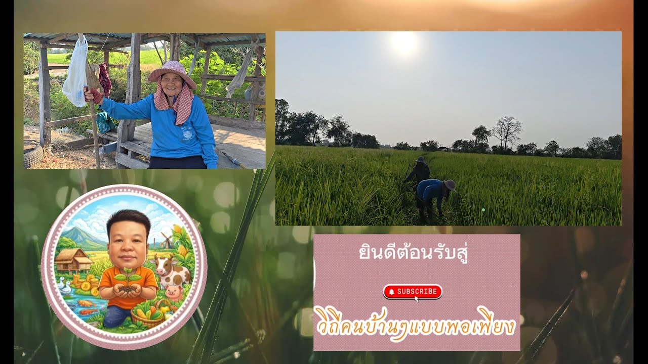 ความสุขของคุณยายวัย 81 ปี คือการได้มานา และถ่ายทอดเรื่องราวดีๆในการดูแลข้าว น้ำแบบดั้งเดิมให้ลูกหลาน