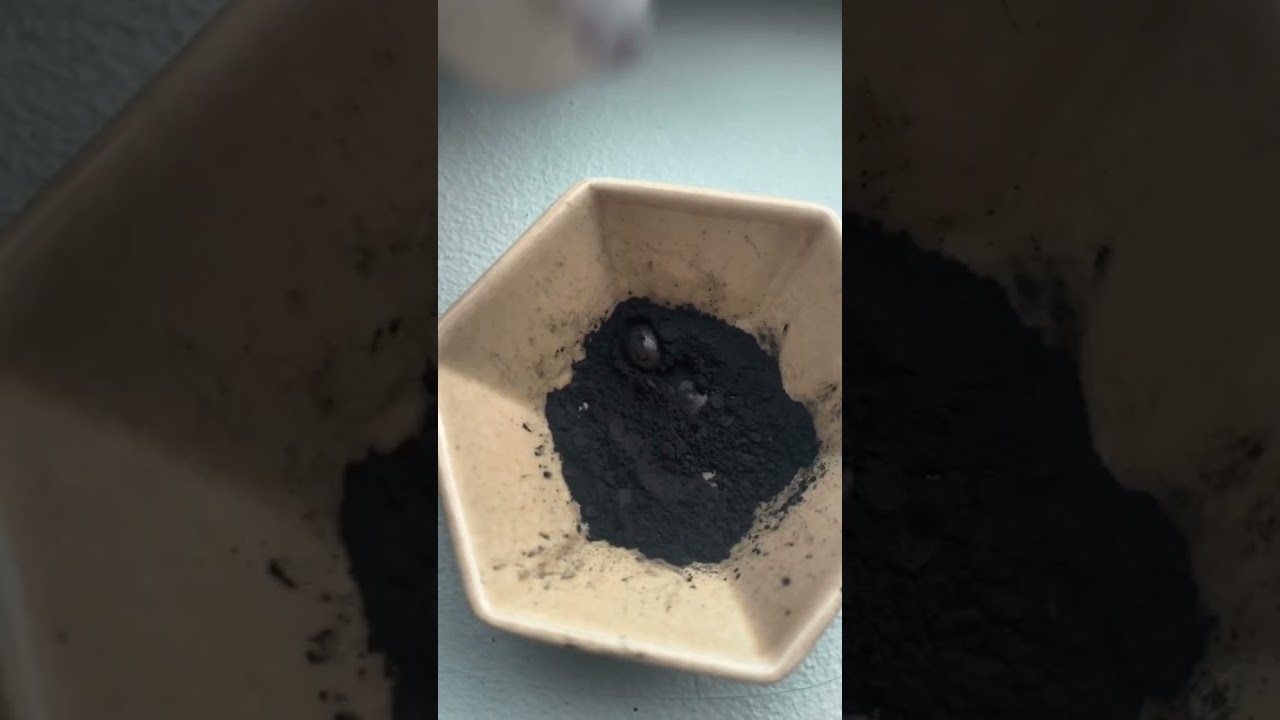 Wood burned to charcoal can create eyeliner? 🤯 upstate from NYC* #eyeliner