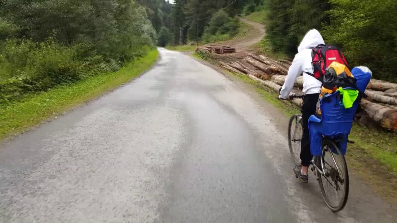 SDM - Makatka dla Janka Rybowicza
