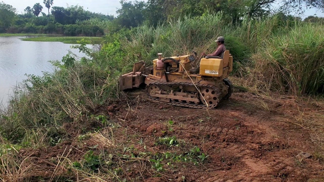 Incredible whole work landfill full project ! Bulldozer BD2F push tree and Clearing grass 