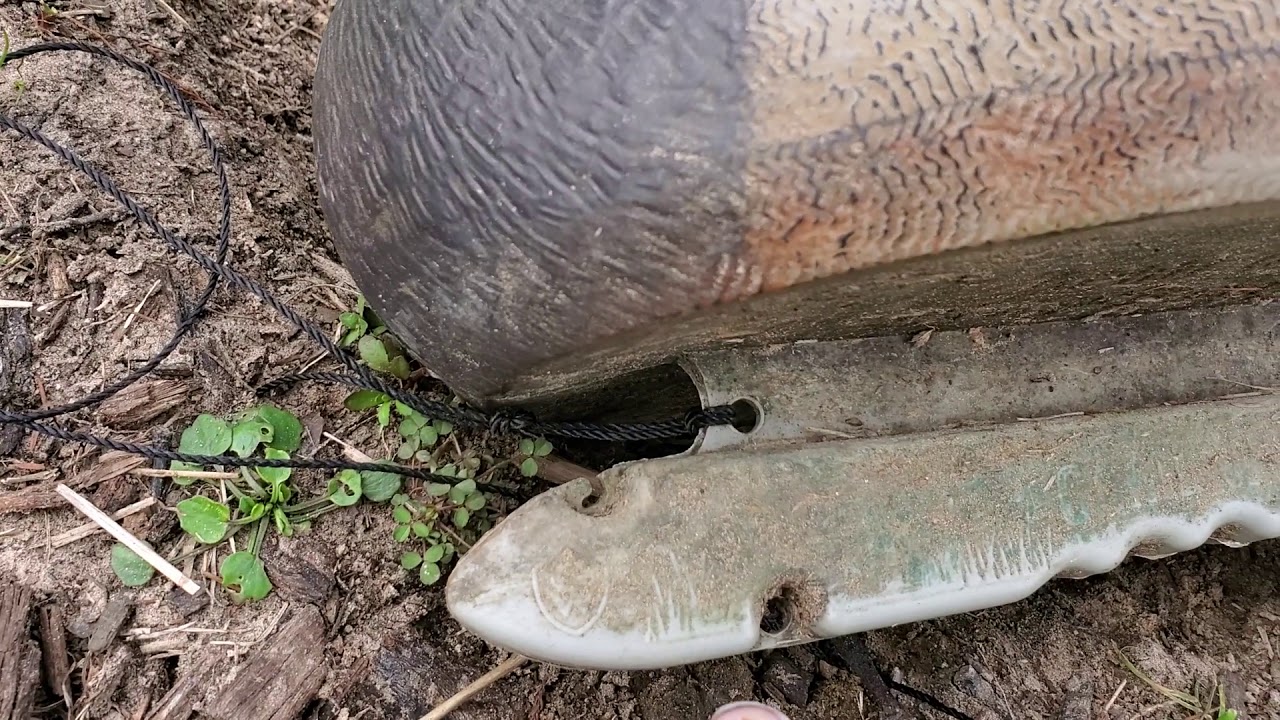 Another trotline/ duck decoy long line