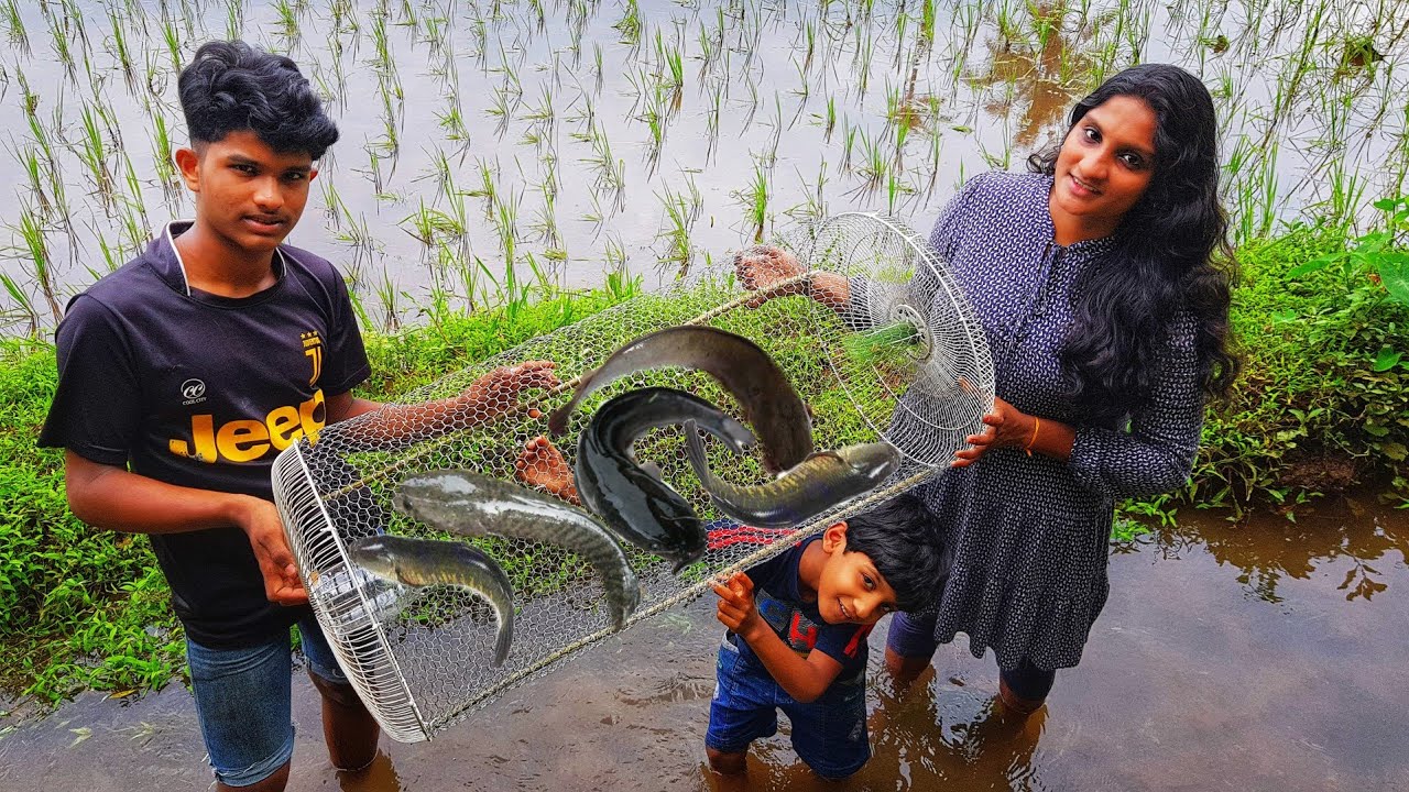 Amazing MESH Fish Trap with Fan Guard|വവരാലിനെ പിടിക്കാൻ വച്ചത് പിലോപ്പി കൊണ്ടുപോയി|FIRE & SMOKE VFC