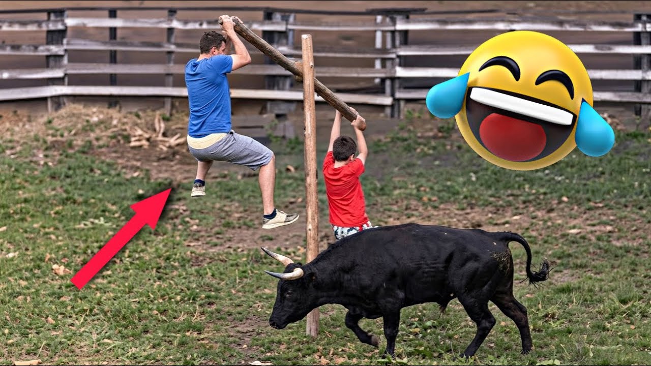 Попробуйте не засмеяться 🤣 Топ-100 самых смешных видео 2026 года 🔥😅 Уморительные неудачи, мемы и ...