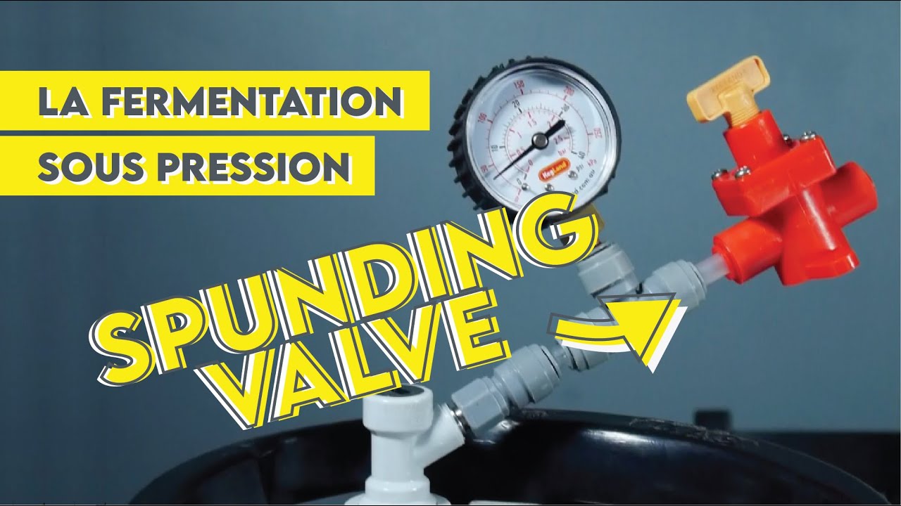 La fermentation sous pression I Spunding valve, flotteur et Dry Hop
