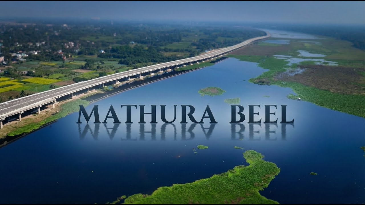 Silent Waters, Endless Road | Mathura Beel From Above | Shot on DJI Mini 4 pro | #aerialvideography