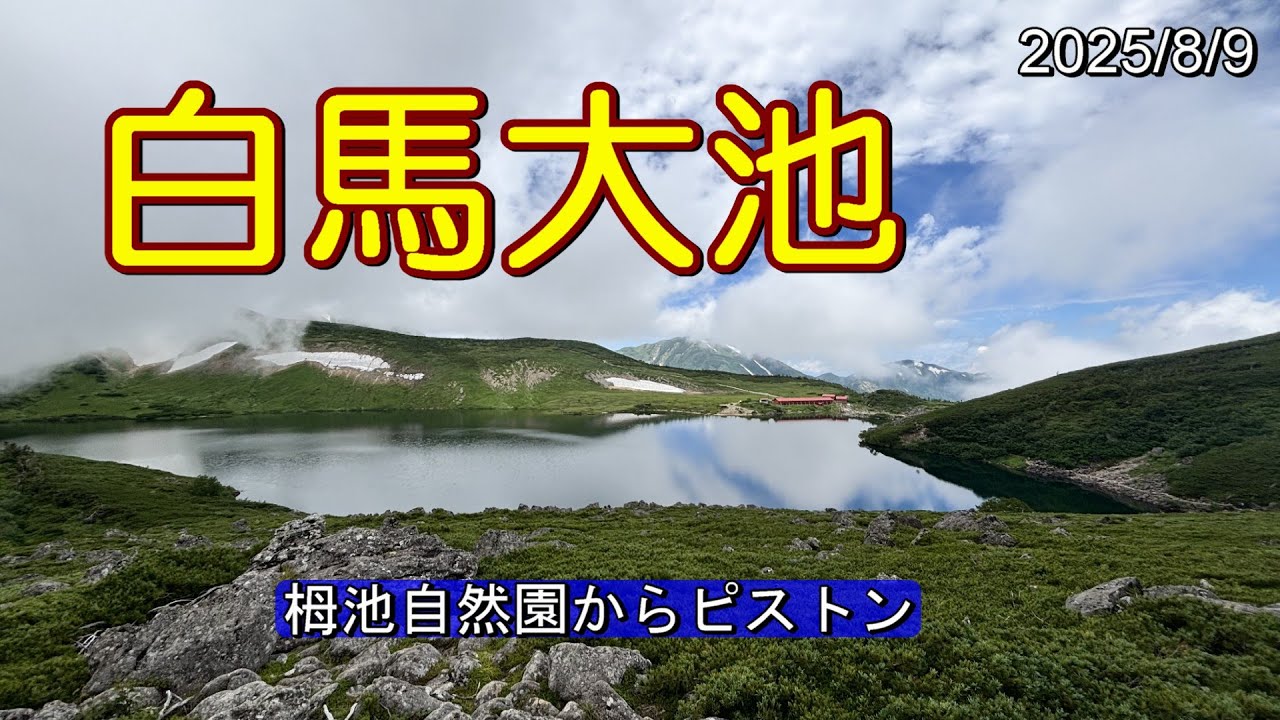 天候不順のため諦めた白馬岳…せめて宿泊予定だった白馬大池まで行ってきました。　残念でしたがチョッとしたアルプス気分を味わい下山してきました。