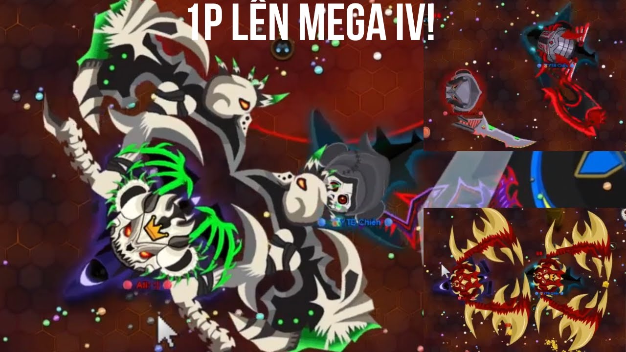 1P LÊN MEGA IV! Combat Điên Rồ Trong EvoWars.io