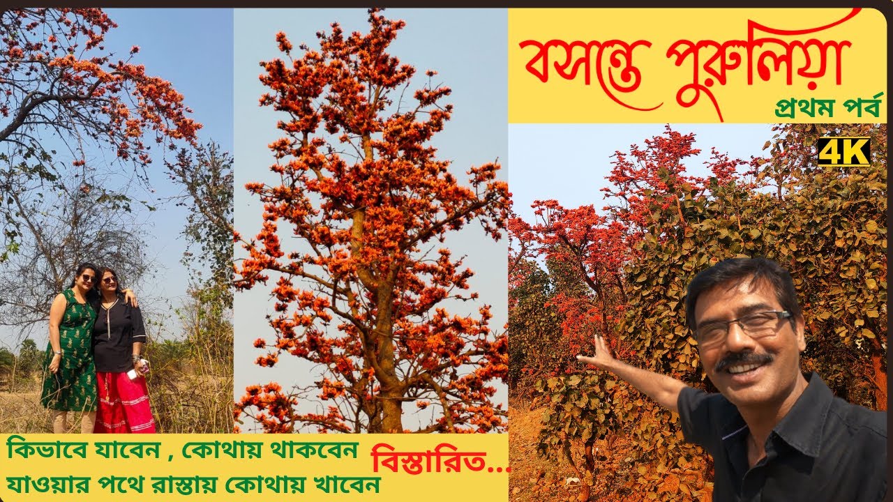 Purulia Tour । বসন্তে পুরুলিয়া । Purulia Tourism । Ajodhya Hill । Purulia Travel Guide