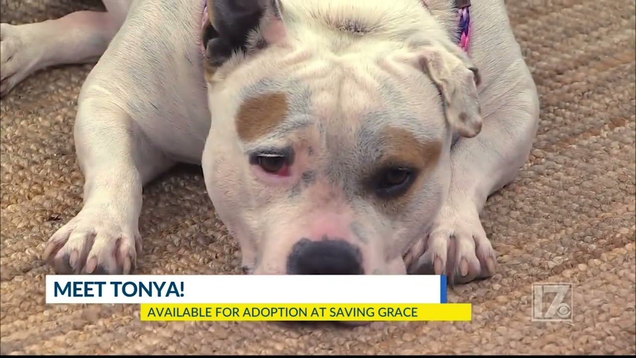 Meet Tonya!