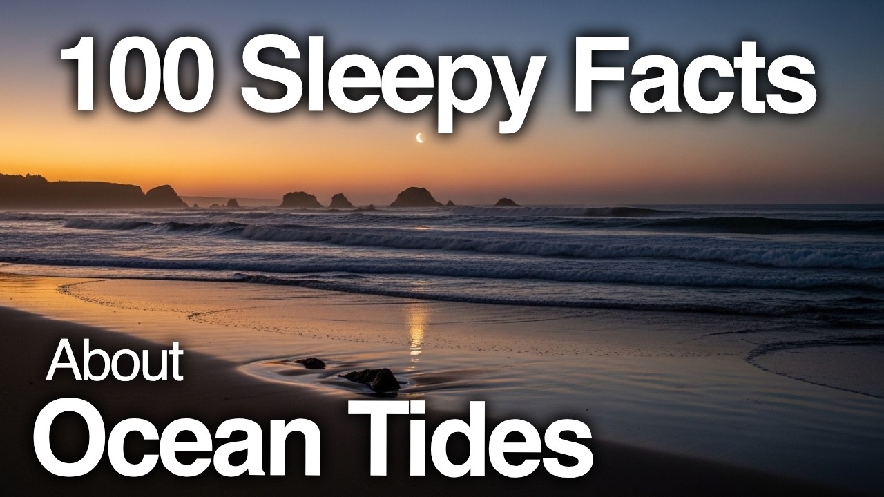 The Most Relaxing Facts About Ocean Tides To Fall Asleep To