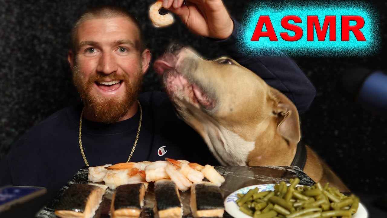 ASMR EATING PIT BULL MUKBANG SALMON & CHEWY SHRIMP