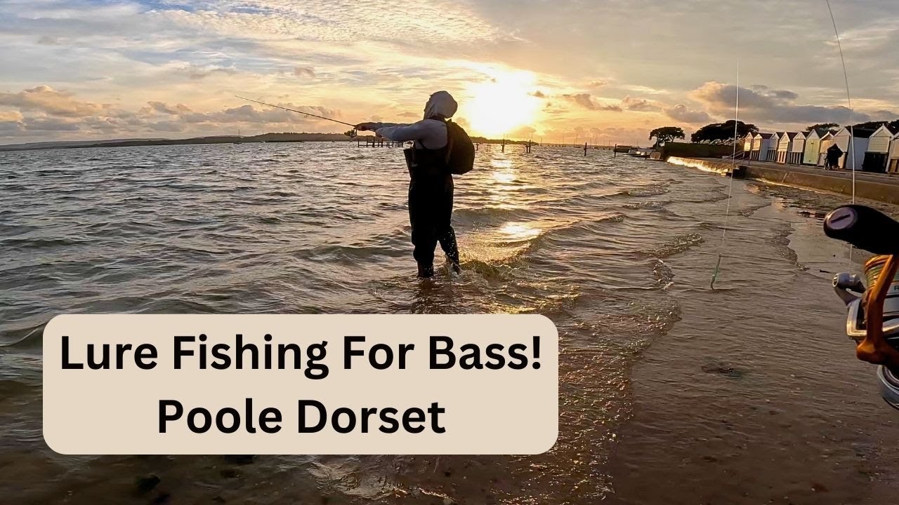 Lure Fishing For Bass - Poole Dorset.