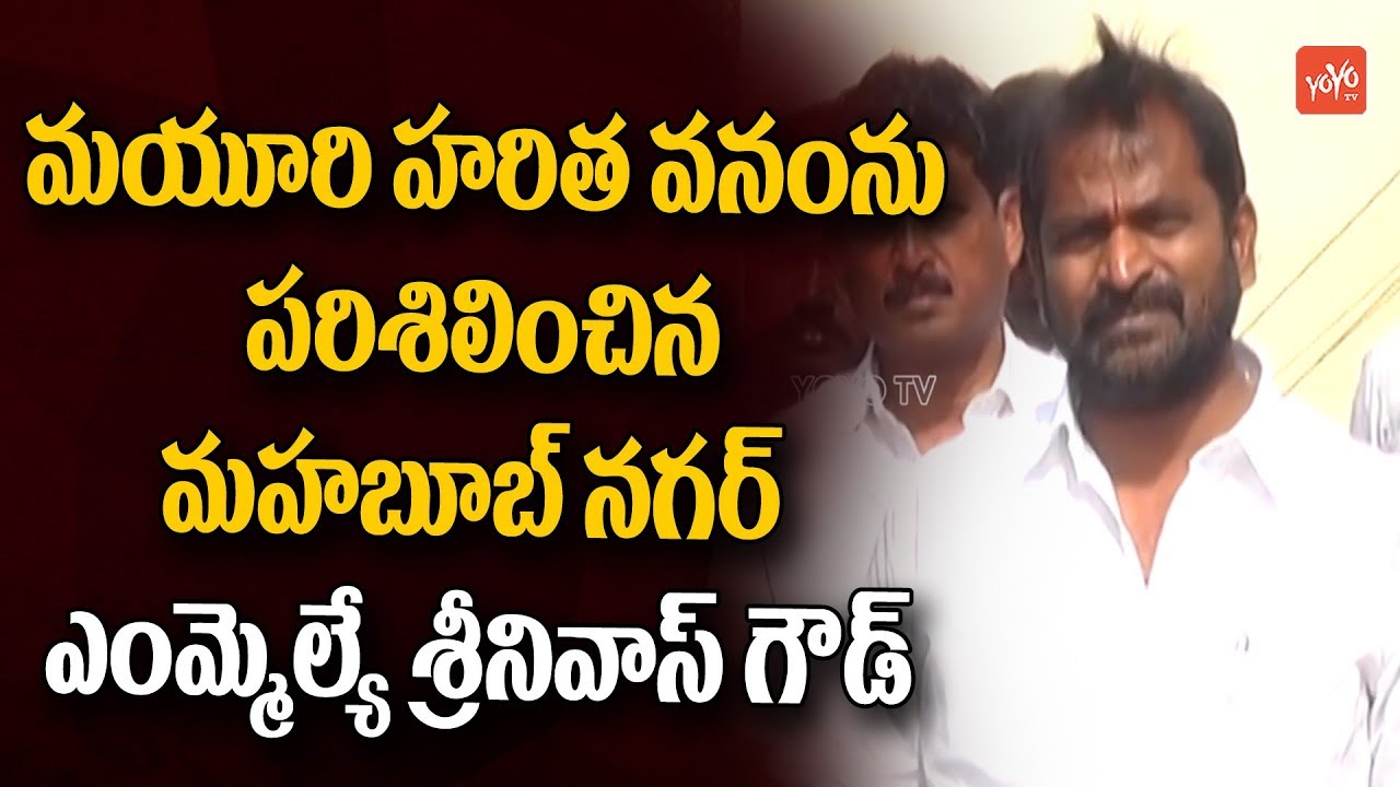 Mahabubnagar MLA Srinivas Goud Inspects Mayuri Haritha Vanam | Mayuri Park | Mahabubnagar | YOYO TV