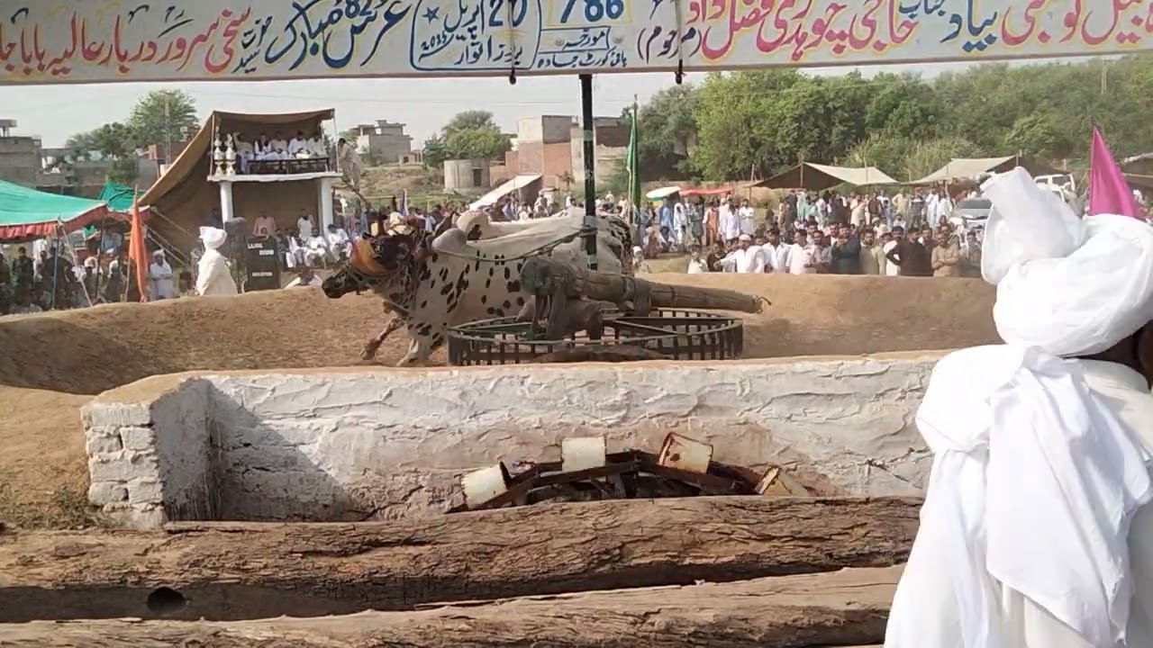 20 اپریل 2025 اکھاڑہ جادہ جوگ حاجی مہر محمد خاں مونن وچھا گجراں آلہ 10 منٹ 190/50 پھیرے۔