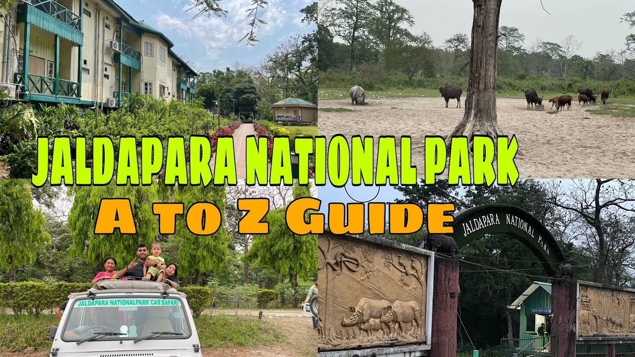 Jaldapara National Park Tour Guide । Aranya Tourism Property Jaldapara । Jaldapara Jungle Safari ।