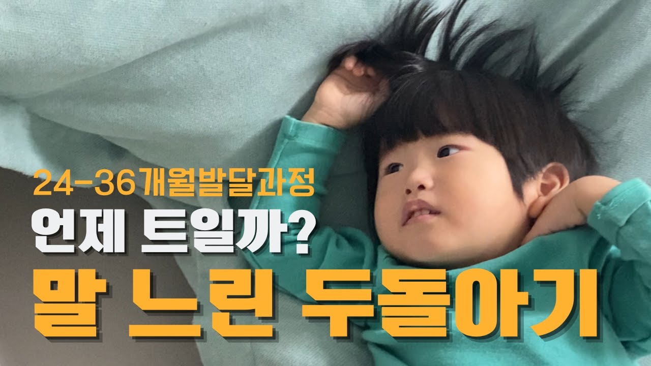 말 느린 두돌아기(언어발달 수준) 언제 트일까? 24개월 - 36개월 발달과정
