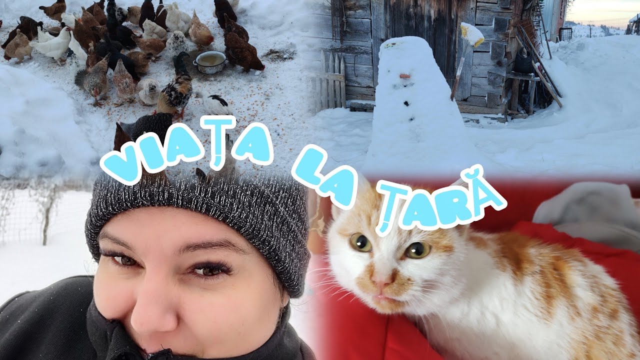 Drumuri înghețate, animale flămânde și multă muncă – iarna la țară#iarnalatara