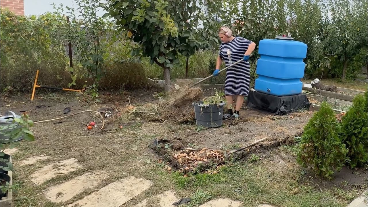 Отпуск закончился! Мои станичные будни:сад, огород, покупки для дома, рецепты. Жизнь на юге 