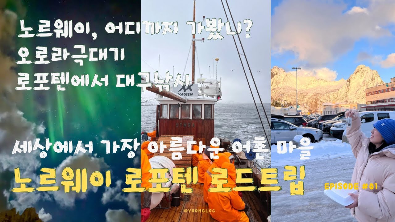 🇳🇴노르웨이 로포텐 여행 ep.1 |  로포텐 6박7일 여행 | 헤닝스베르 | 스볼베르 | 대구낚시체험🐟 | 스비노야로부어🏠 | 발스타드 | 드디어 오로라🤩 |로포텐맛집,카페,숙소