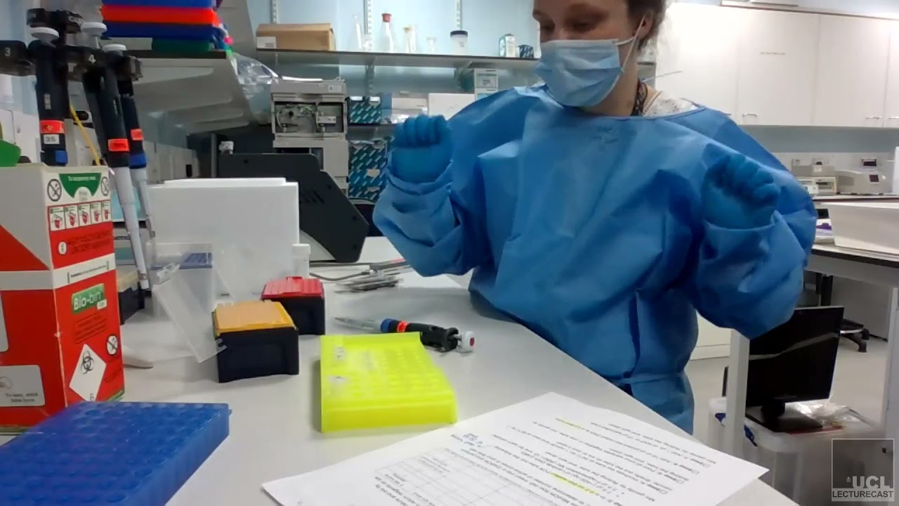 Набор для быстрого создания штрихкодов Oxford Nanopore Technologies - протокол подготовки библиот...