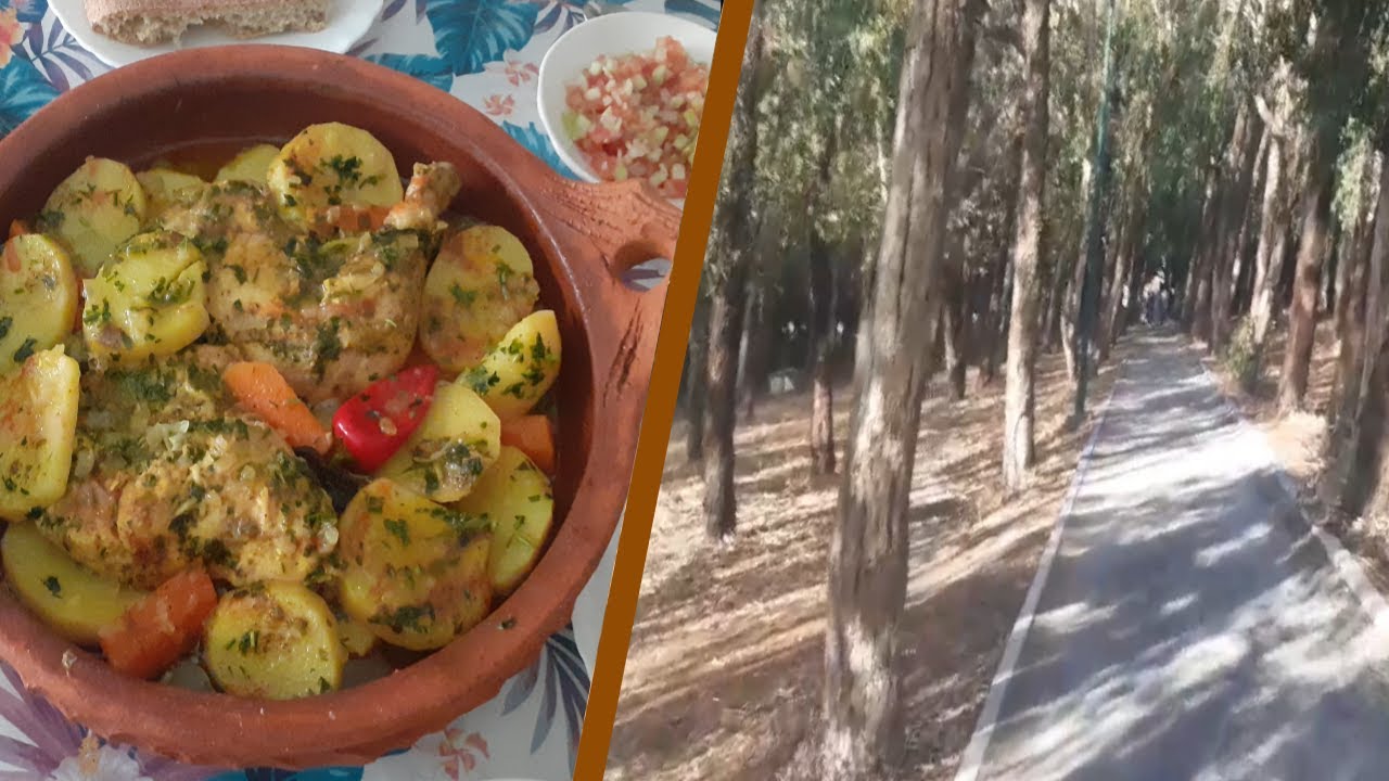 صباح مليء بالحيوية والنشاط🏃‍♀️🏃‍♀️