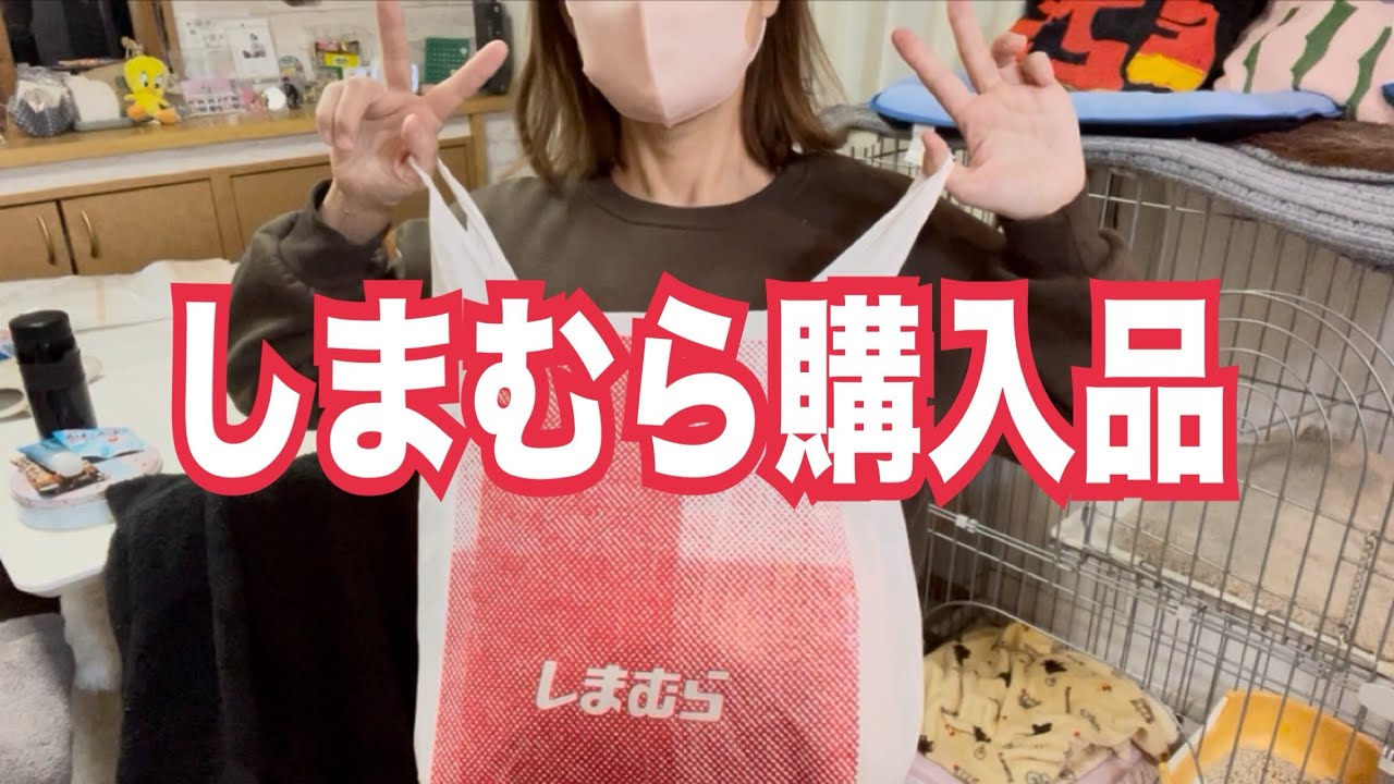 【しまむら購入品】90％値下げ!?激安すぎるしまパト第5弾！手作りマドレーヌと娘と猫