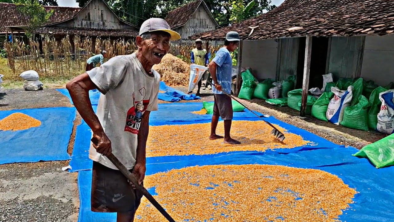 Sulit Di Percaya‼️Kekompakan&Keramahan Kawan Jawa Yang Slalu Terjaga,Pedesaan Th 70an Di Ngawi