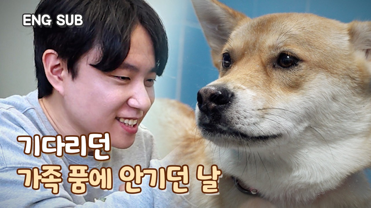 태어나 처음 입양 신청을 받은 유기견의 표정 | 덕순&제니 EP.2 [EN/JP/Latn/VN]