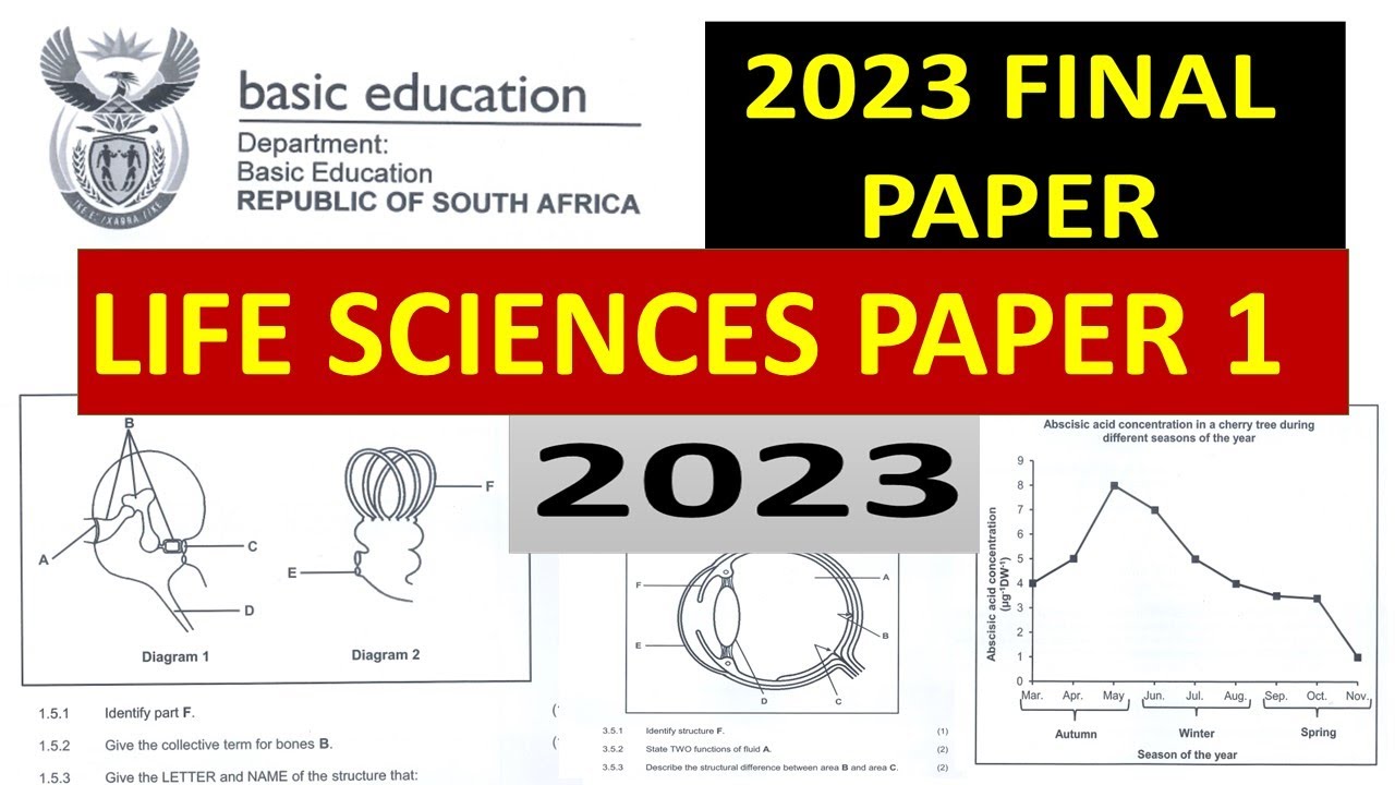 2023 LIFE SCIENCES FINAL PAPER 1 M/J;  BY M.SAIDI