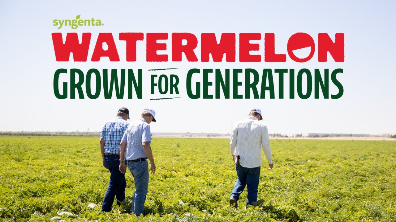 Inside the Maring Family Watermelon Farm, 5 Generations of Innovation & Tradition