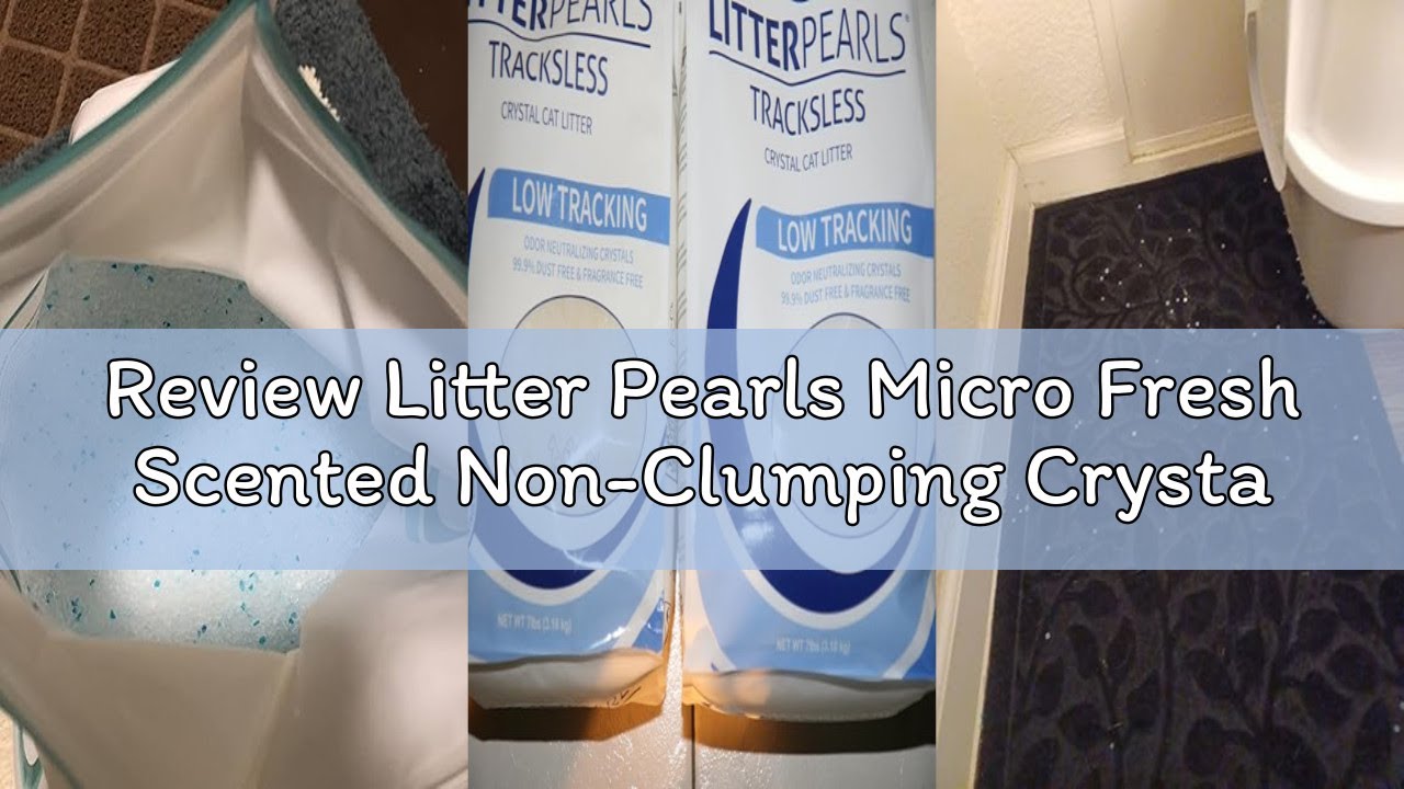 Review Litter Pearls Micro Fresh Scented Non-Clumping Crystal Cat Litter with Odorbond, 7 lb