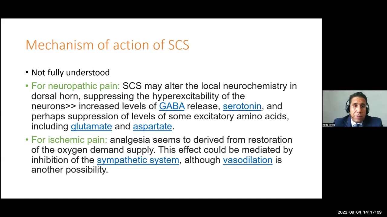 Basics of Neuromodulation- Prof Reda Tolba- Pain Talks Episode 3