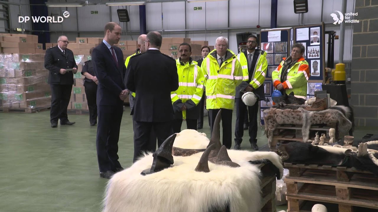 HRH the Duke of Cambridge visits DP World London Gateway