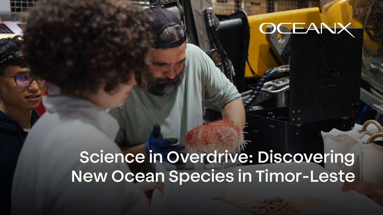 Hundreds of New Species in 2 Weeks? Inside a Real-Life Ocean BioBlitz