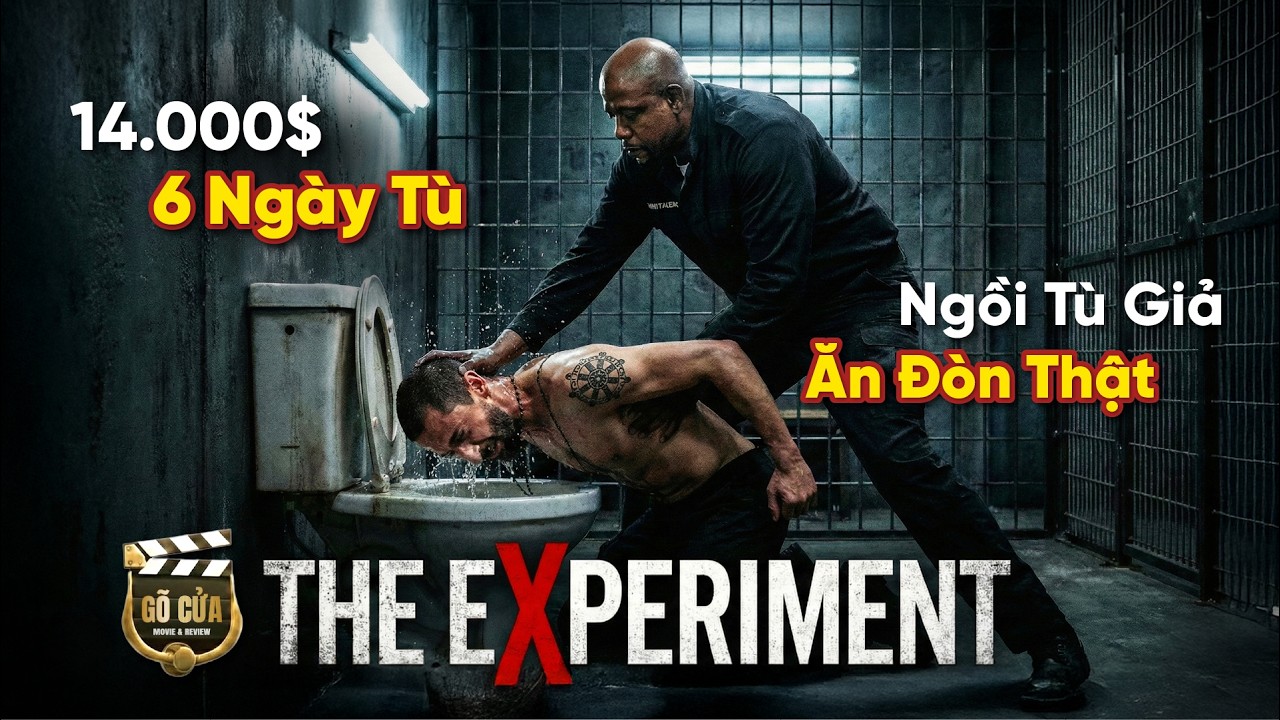 Thử Thách 14.000$: Ngồi Tù Giả - Bị Hành Hạ Thật | Review Phim The Experiment