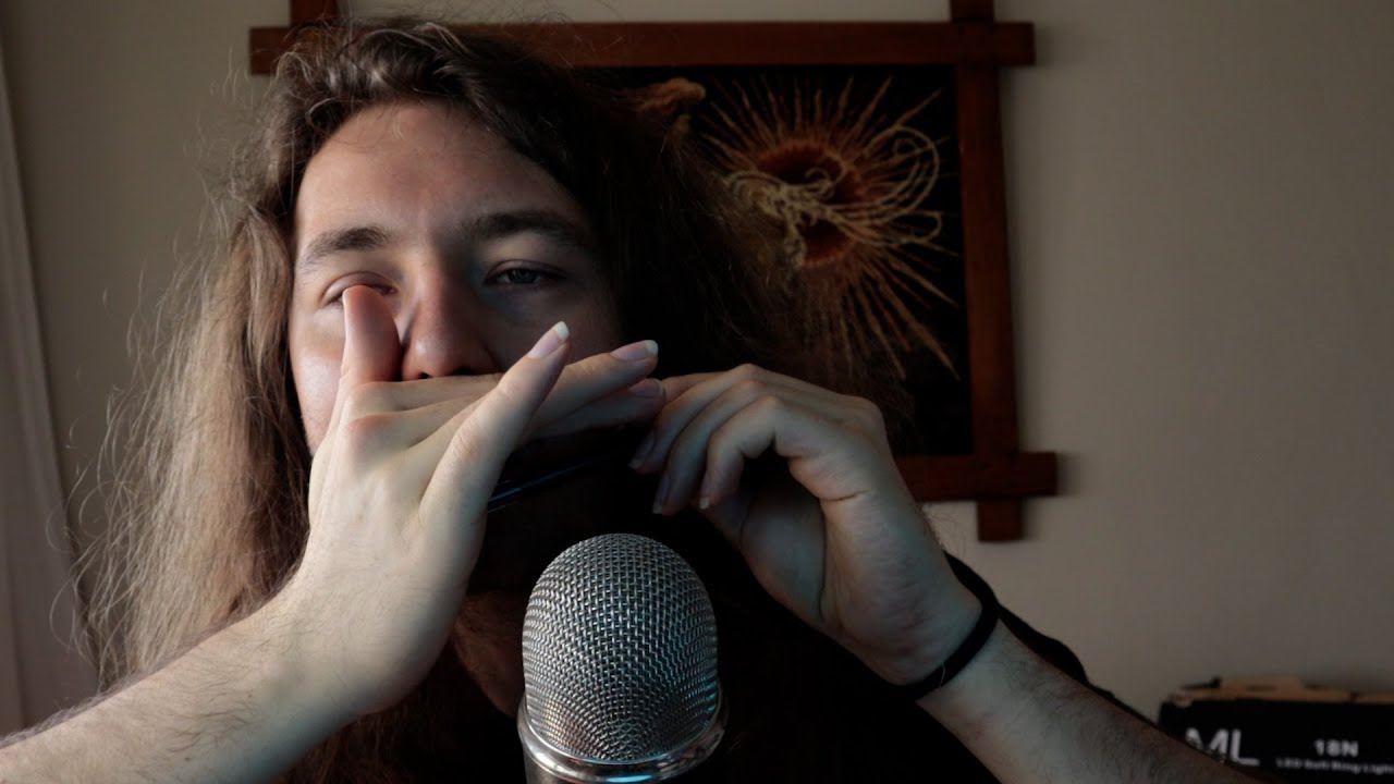 ASMR gentle pen noms