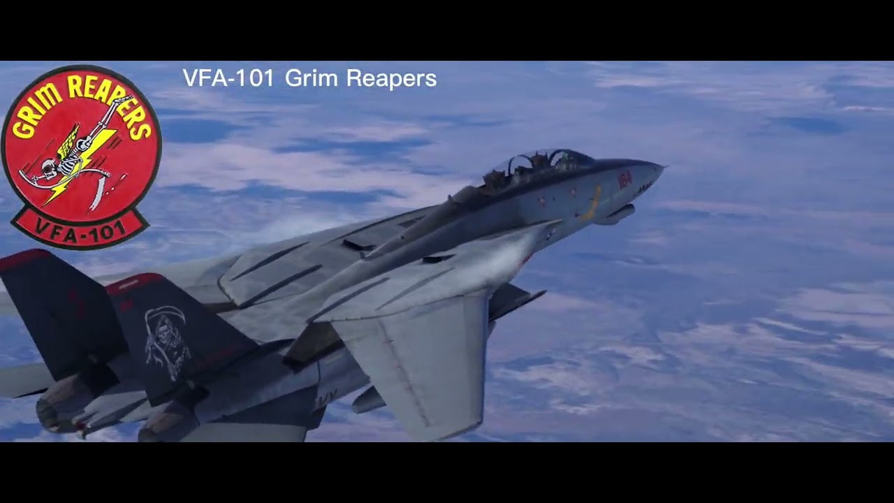 F-14 squadrons