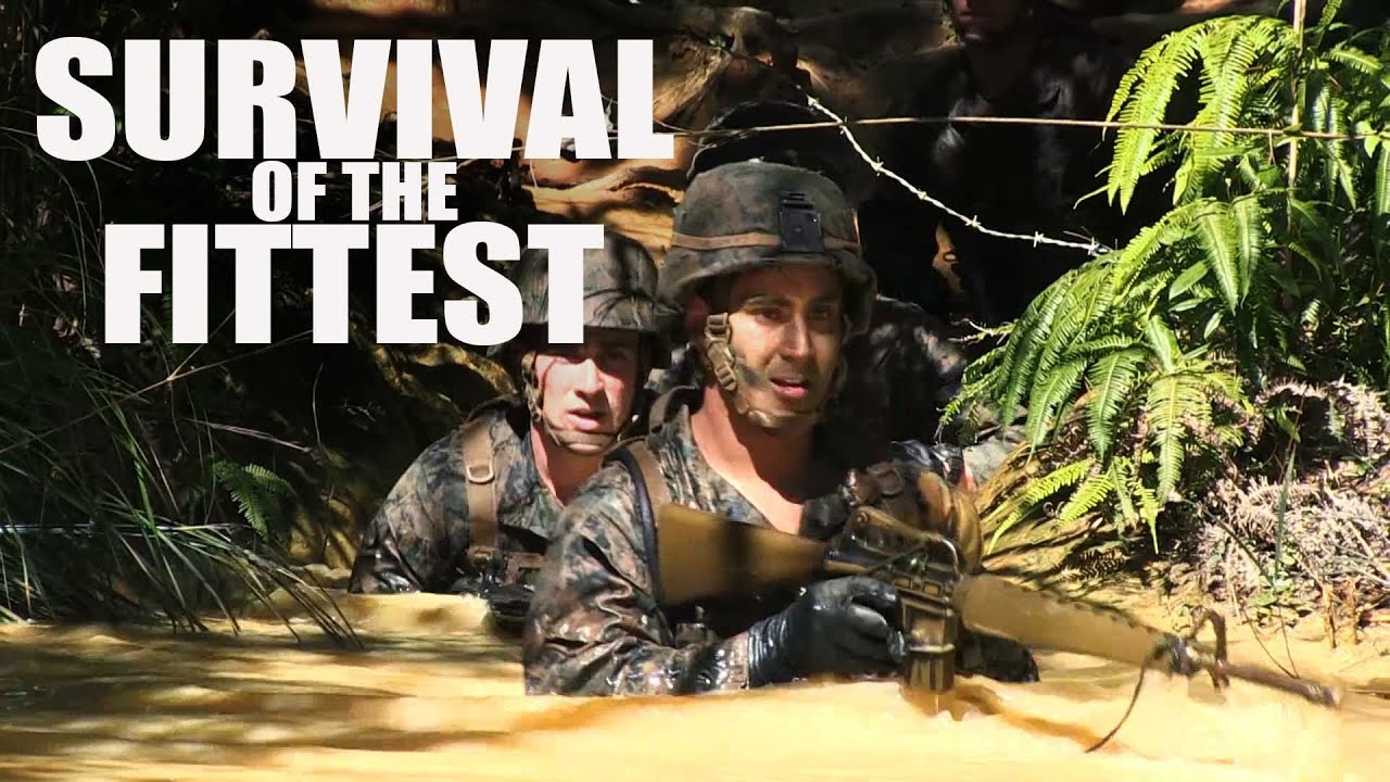 Survival of the Fittest: Jungle Warfare