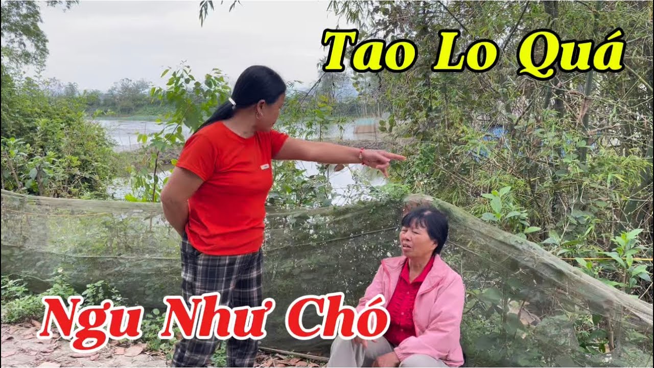Căng Mụ Liên Lo Lắng Không Biết Sỹ Ăn Bánh Mỳ Vào Liệu Có Hẹo Không Mụ Minh Chửi Cho To Đầu