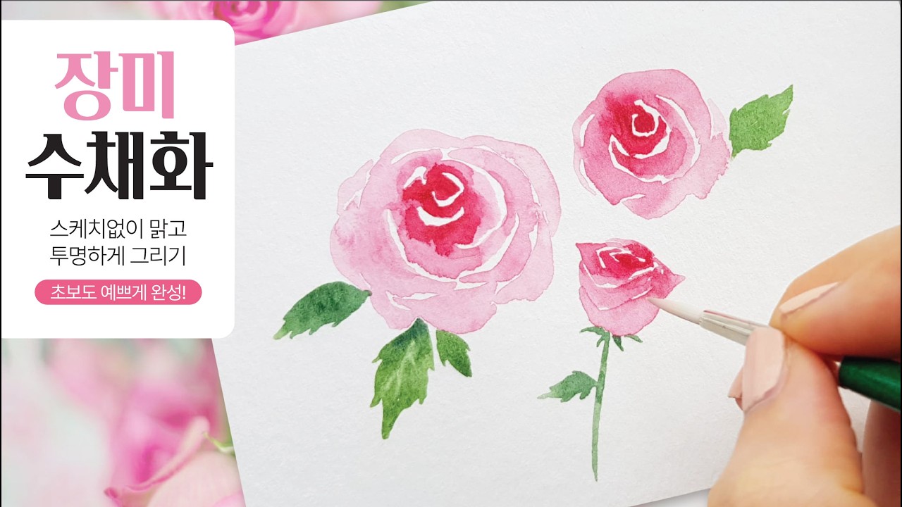 (Eng) 수채화로 맑은 느낌의 장미꽃 그리는 방법 / How to paint Roses in watercolour for beginners