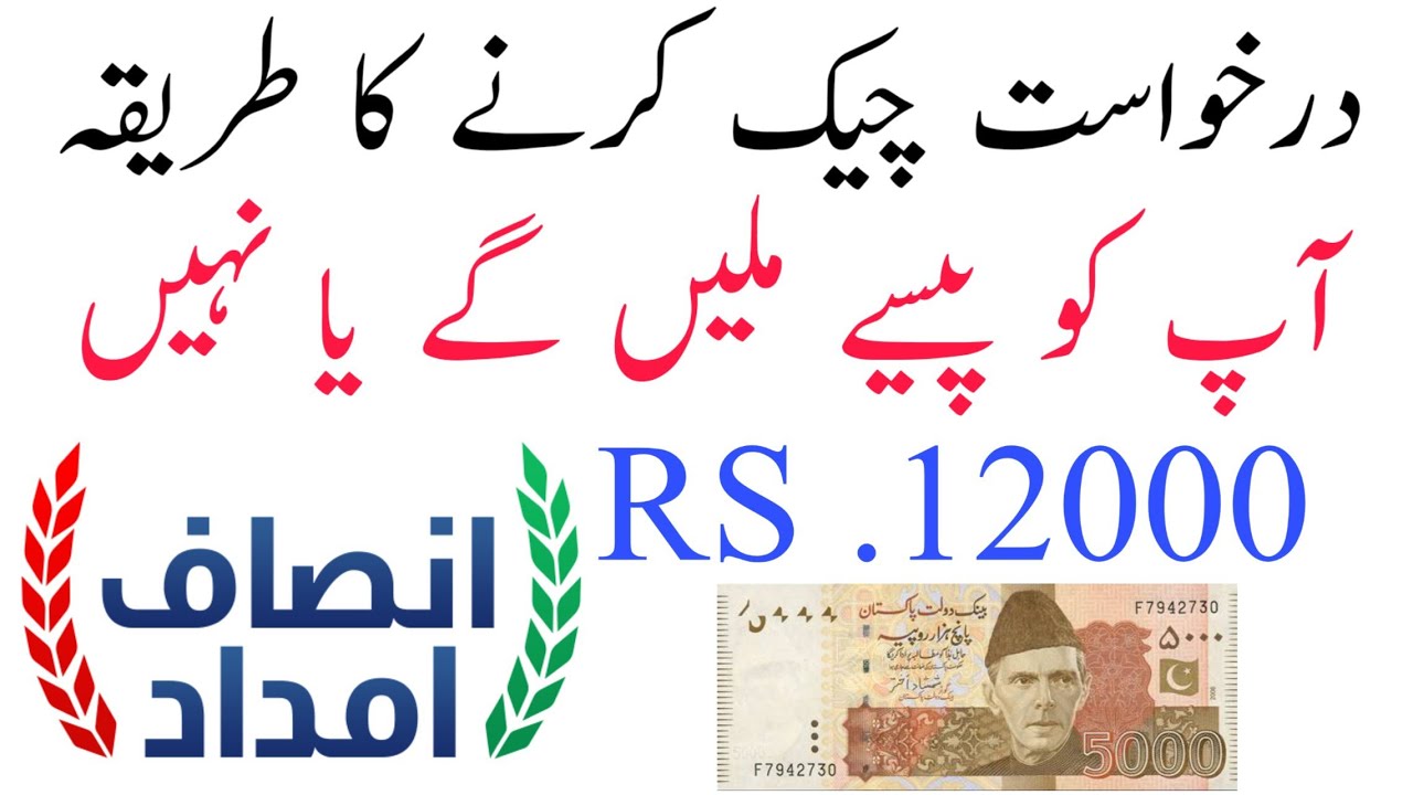 How To Check  insaf imdad Application | insaf imdad Program  | insaaf imdad