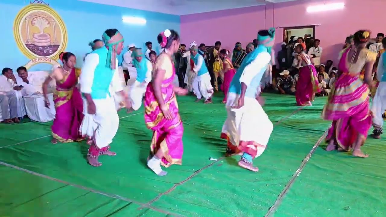 డింస నిత్యం కేస్లాపూర్ ఎగురుతున్నారు
