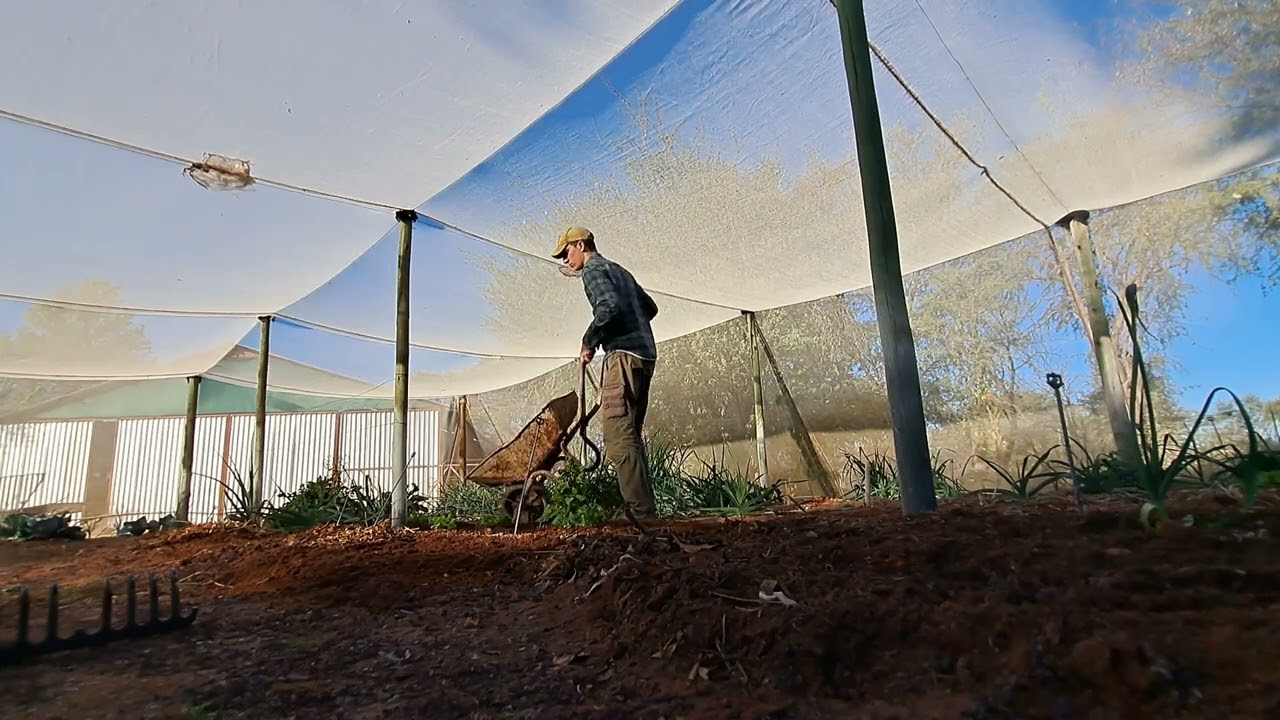 Stage 3ème année - Faire pousser des salades dans le désert ? Le stage de Martin en Namibie !