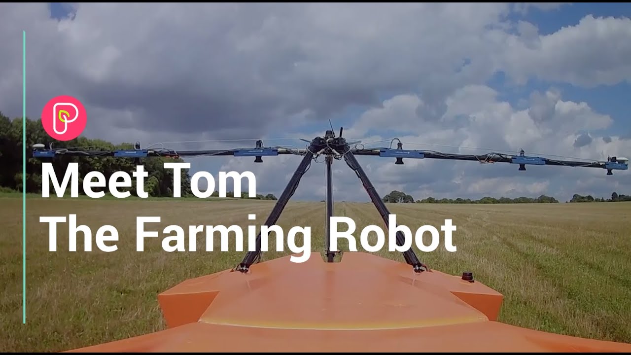 Crop-monitoring robot