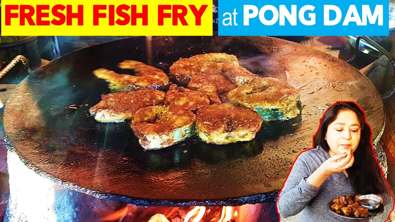 एकदम ताज़ा दरिया से निकली स्वादिष्ट मछली BEST Fish Fry at Pong Dam - Mesmerizing View Water Sports