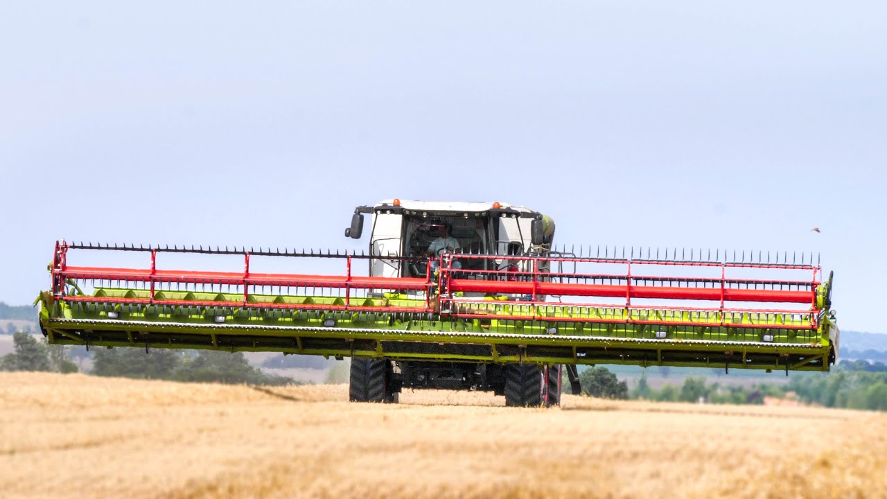 MOISSON 2021 ! 😍 New Lexion 8800TT & 14m de coupe ! in France