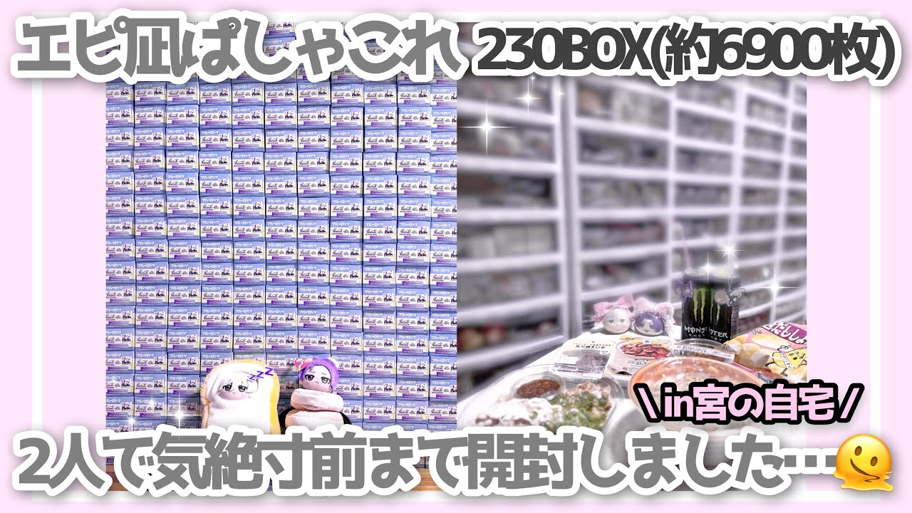 エピ凪ぱしゃこれ230BOX(約6900枚)2人で気絶寸前まで開封しました…🫠